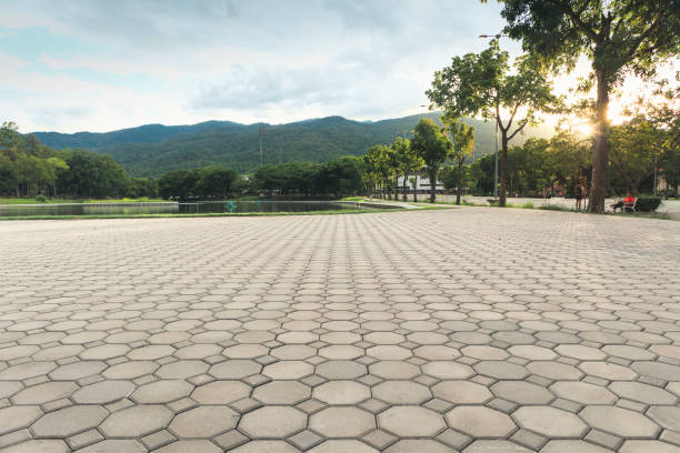 Best Driveway Paving Near Me  in Geneva, FL